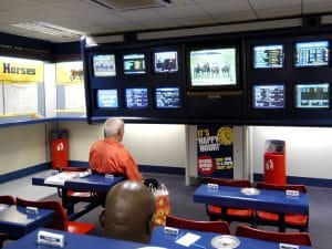 Why to become a profitable sports bookie today